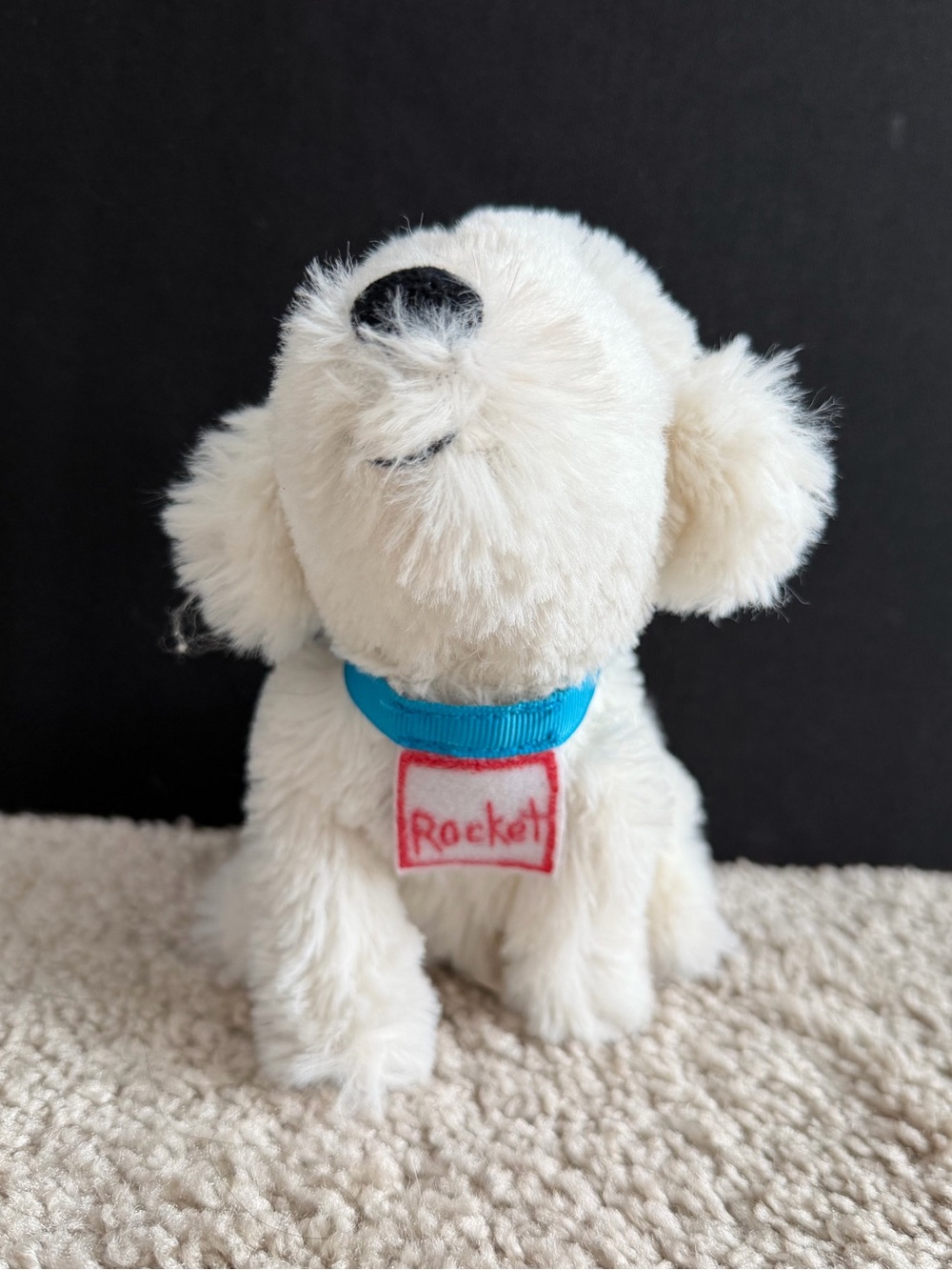 MerryMakers How Rocket Learned to Read Plush Dog Stuffed Animal